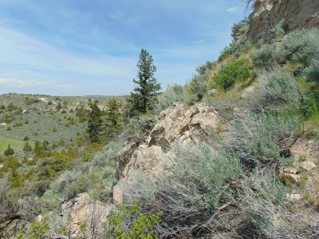Tbd Lone Wolf Trail Three Forks MT 59752