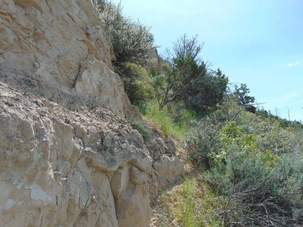 Tbd Lone Wolf Trail Three Forks MT 59752
