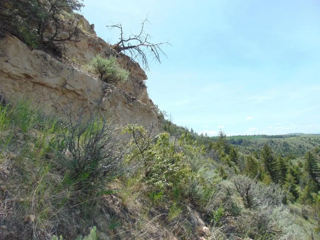 Tbd Lone Wolf Trail Three Forks MT 59752
