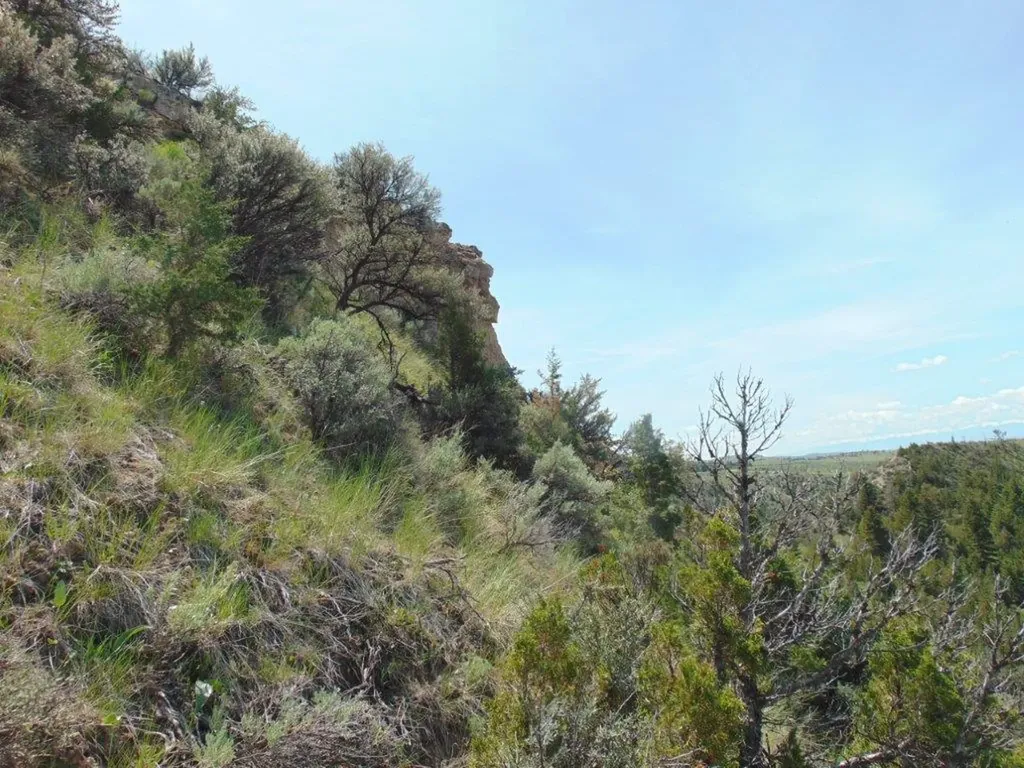 Tbd Lone Wolf Trail Three Forks MT 59752