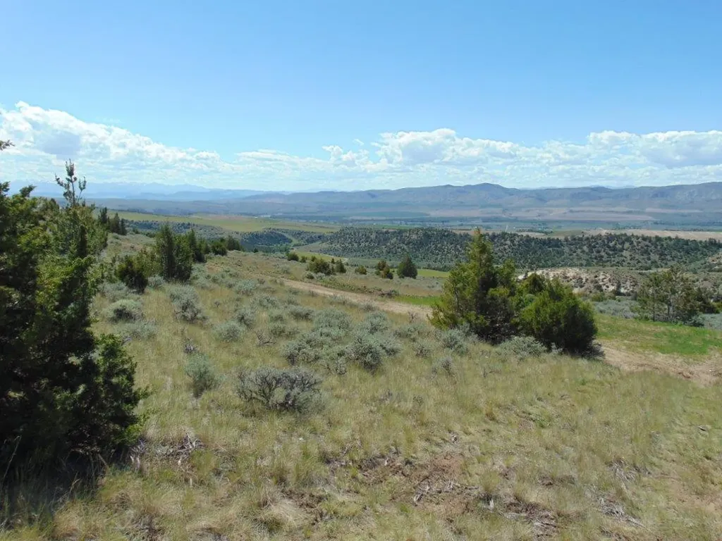 Tbd Lone Wolf Trail Three Forks MT 59752