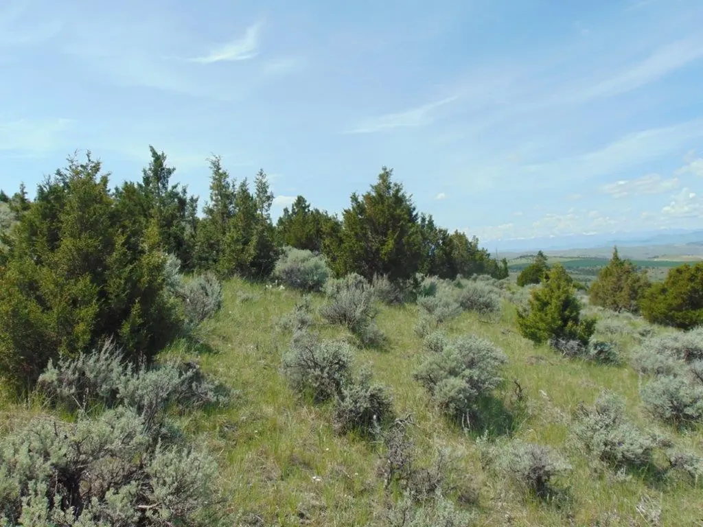 Tbd Lone Wolf Trail Three Forks MT 59752
