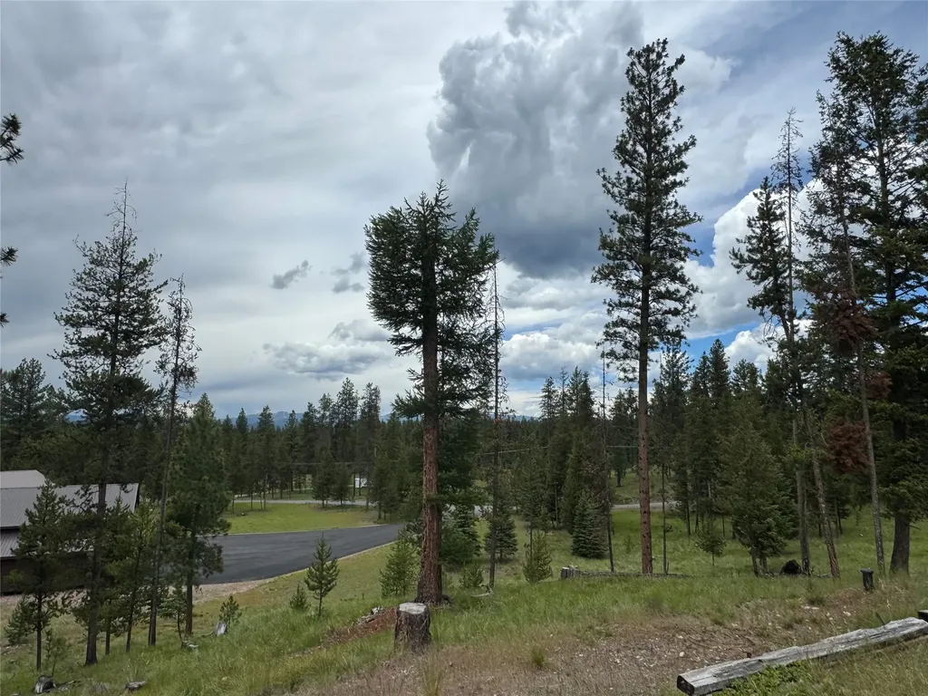195 Whitefish Drive Seeley Lake MT 59868