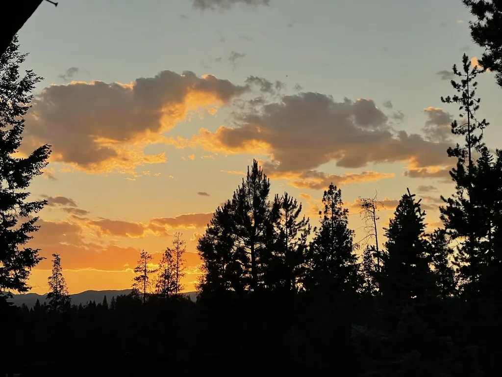 195 Whitefish Drive Seeley Lake MT 59868