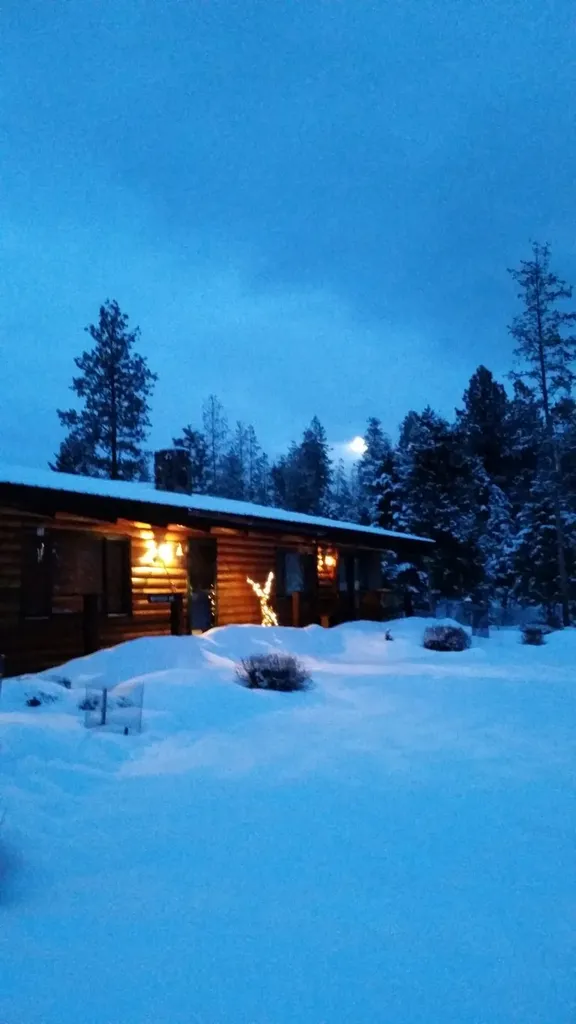 195 Whitefish Drive Seeley Lake MT 59868