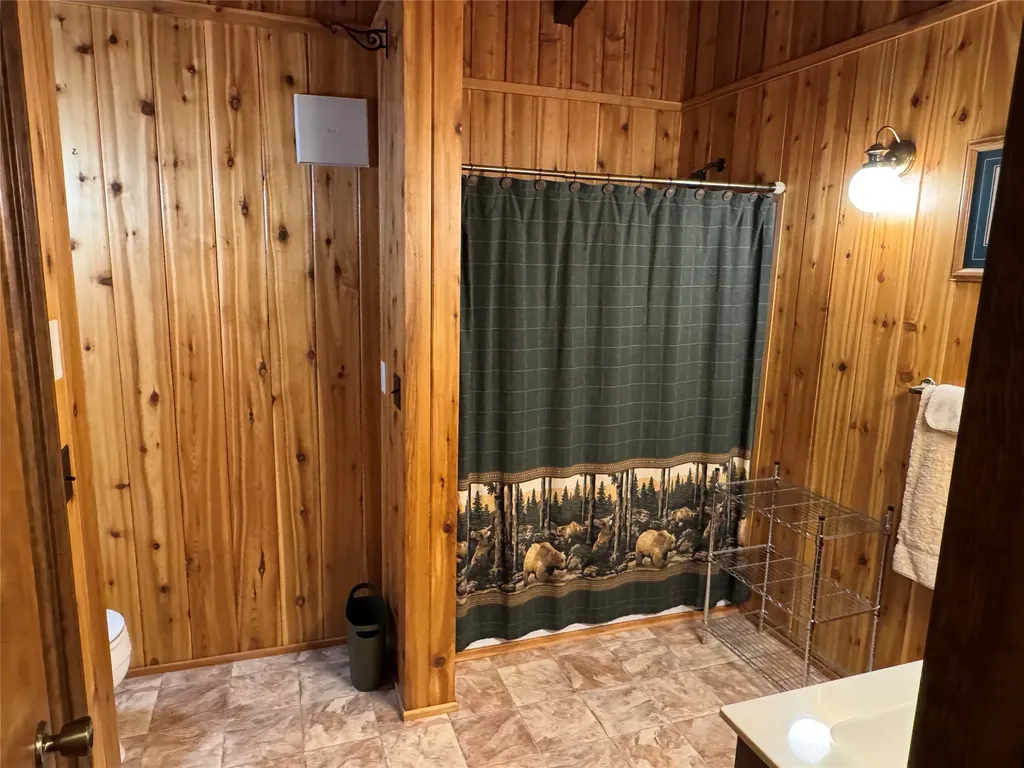195 Whitefish Drive Seeley Lake MT 59868