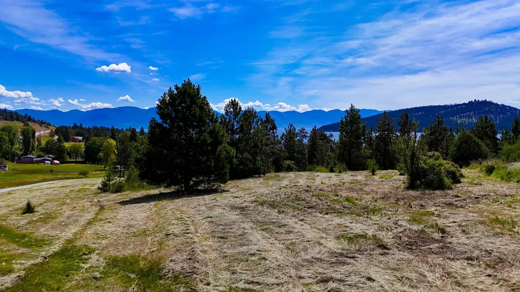 Lot 11-12 Dolly Varden Lane Dayton MT 59914