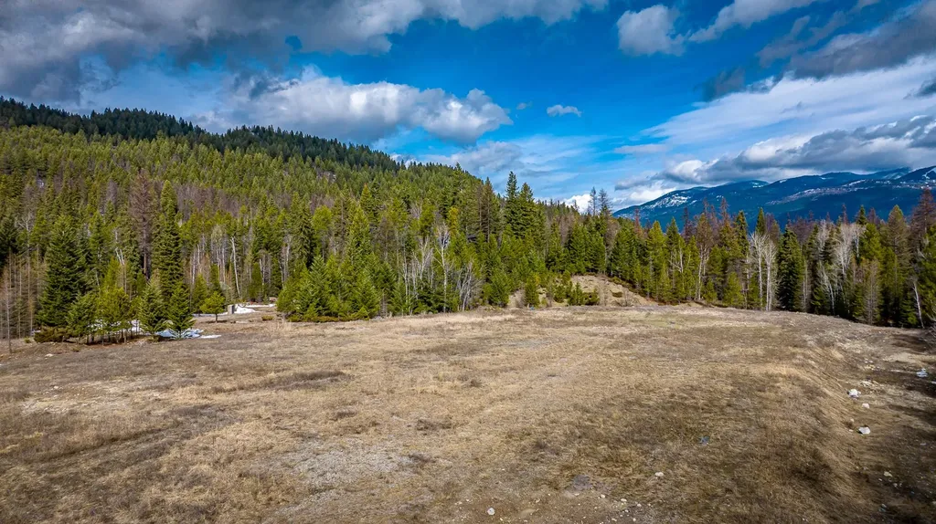 271 Lake Park Lane Whitefish MT 59937