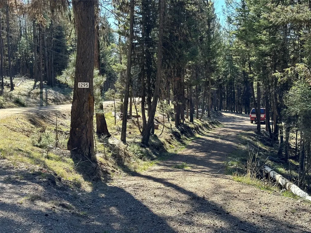 1295 Stage Coach Drive Seeley Lake MT 59868