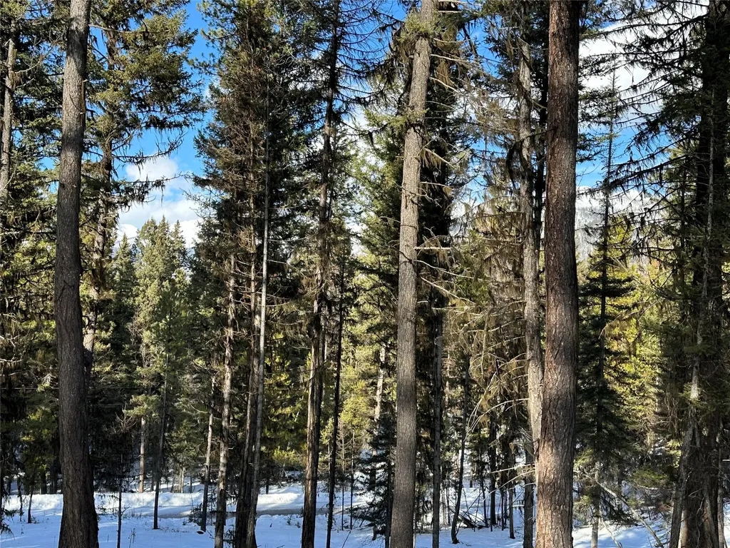 1295 Stage Coach Drive Seeley Lake MT 59868