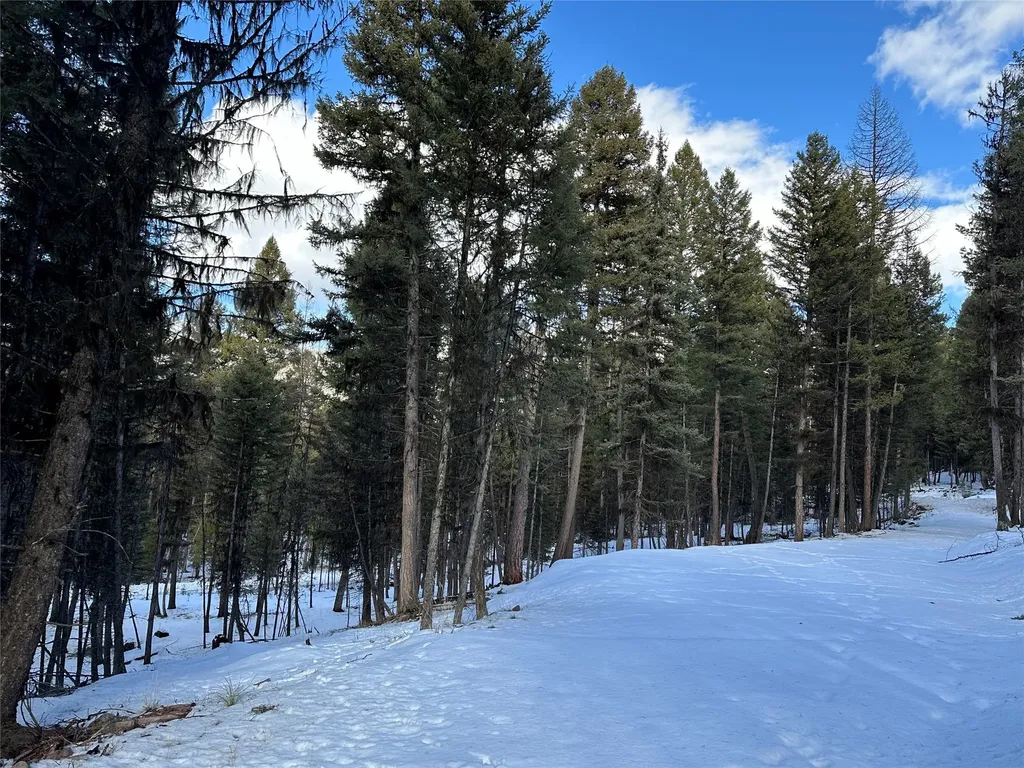 1295 Stage Coach Drive Seeley Lake MT 59868