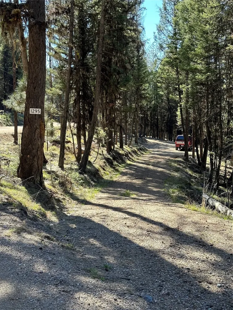 1295 Stage Coach Drive Seeley Lake MT 59868