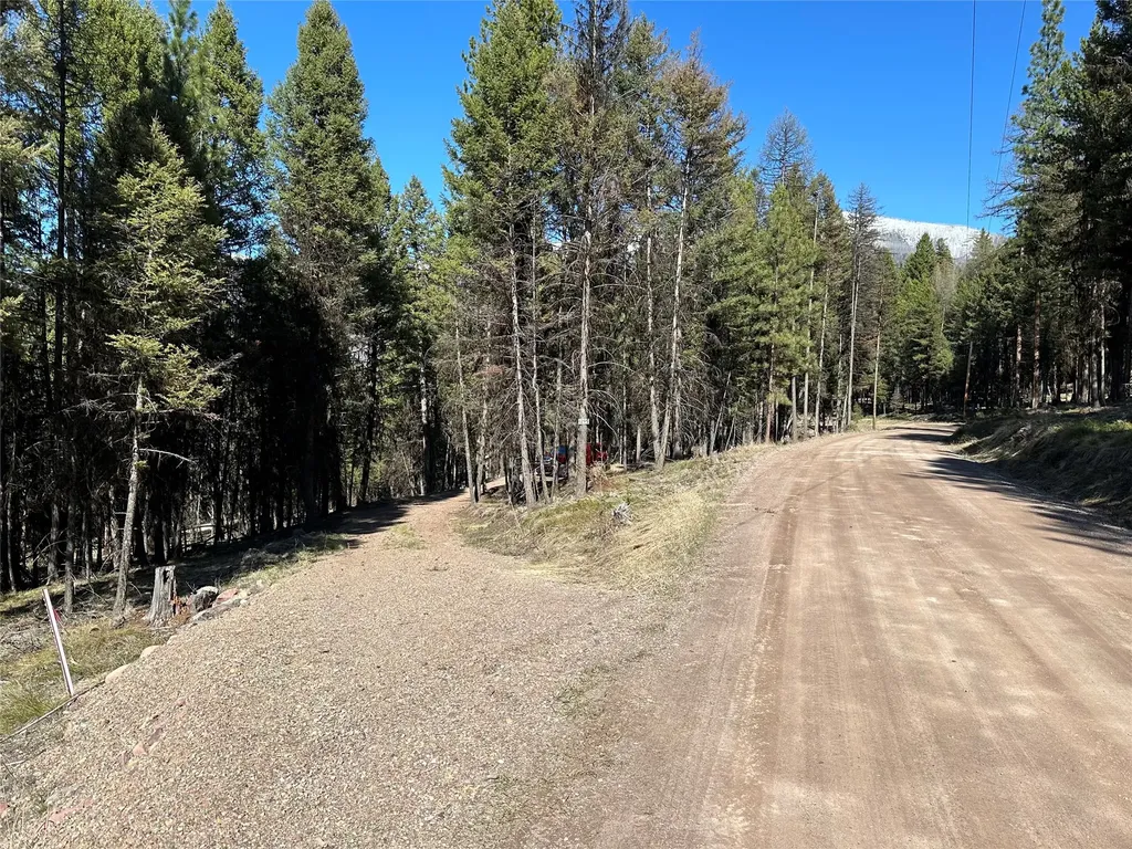 1295 Stage Coach Drive Seeley Lake MT 59868