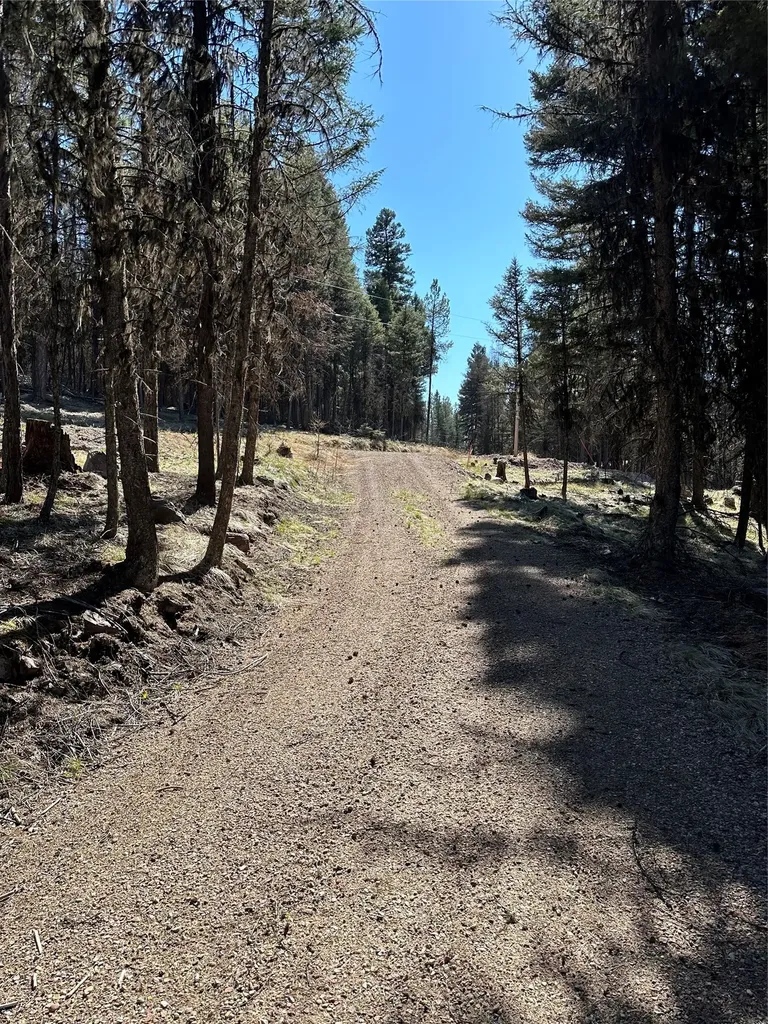 1295 Stage Coach Drive Seeley Lake MT 59868