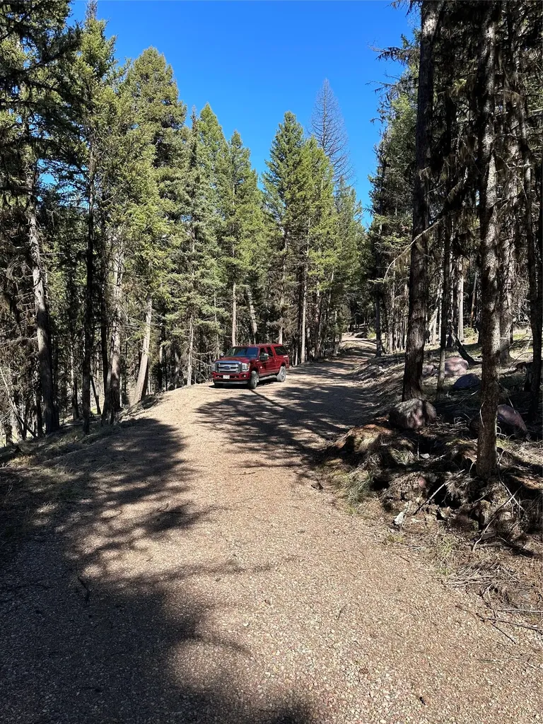1295 Stage Coach Drive Seeley Lake MT 59868