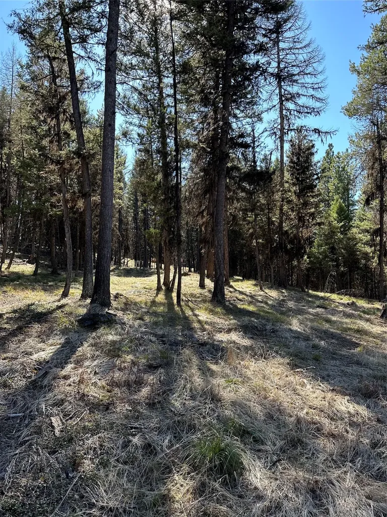 1295 Stage Coach Drive Seeley Lake MT 59868