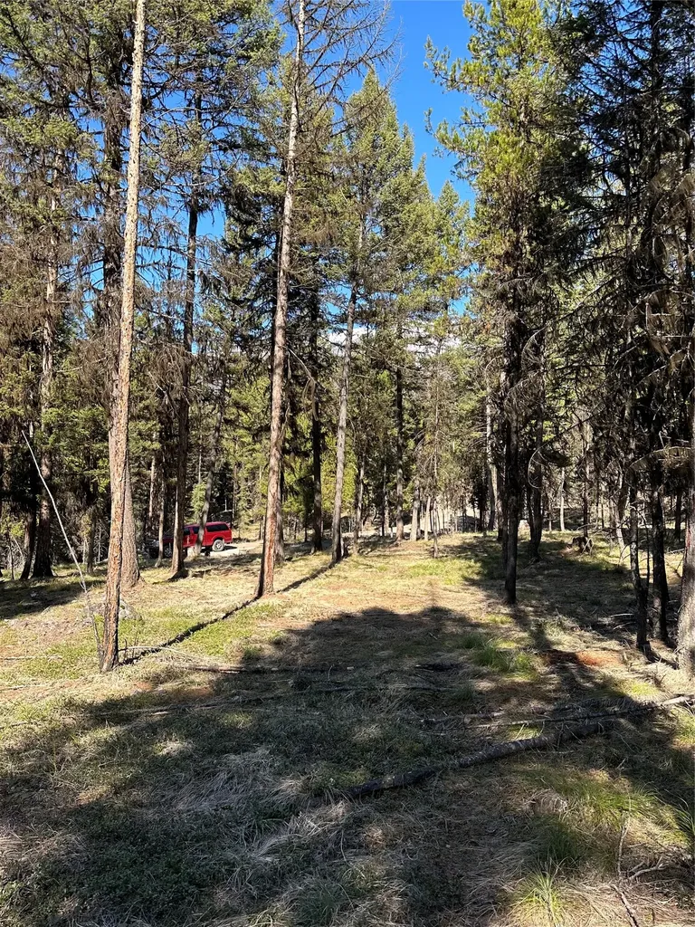 1295 Stage Coach Drive Seeley Lake MT 59868
