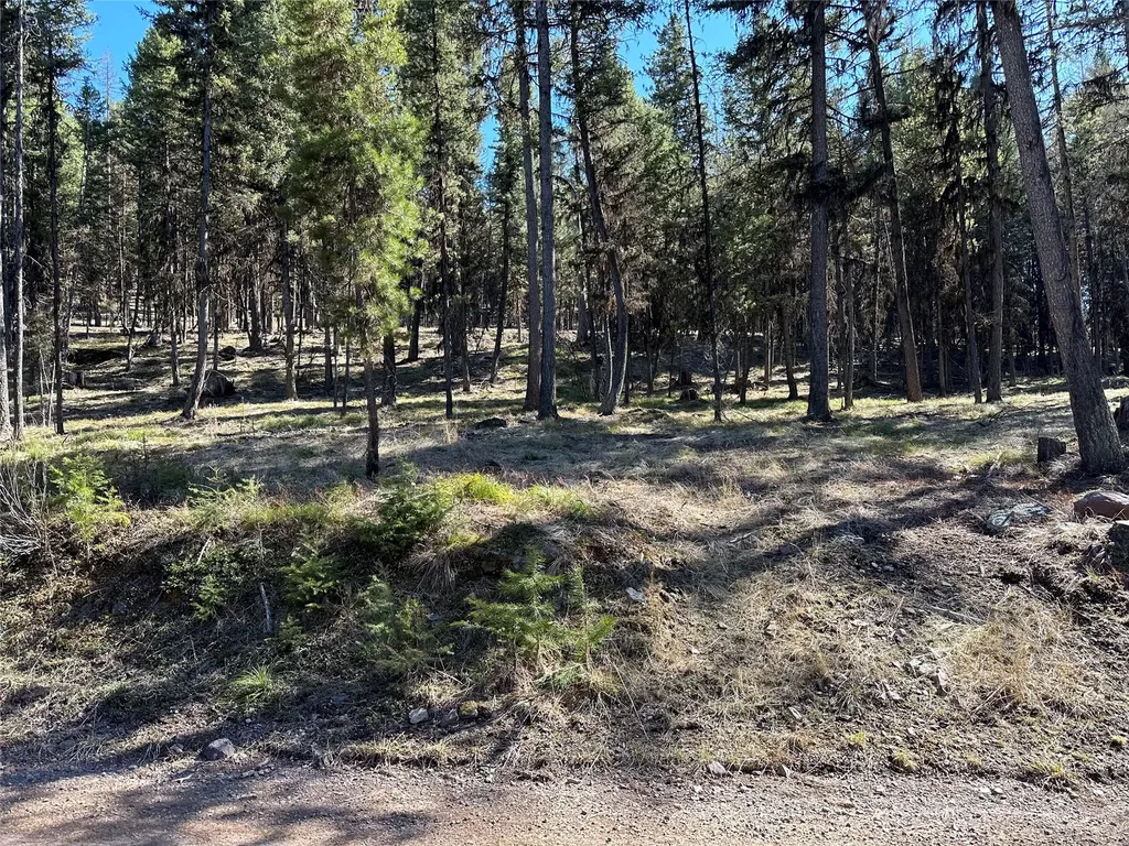 1295 Stage Coach Drive Seeley Lake MT 59868