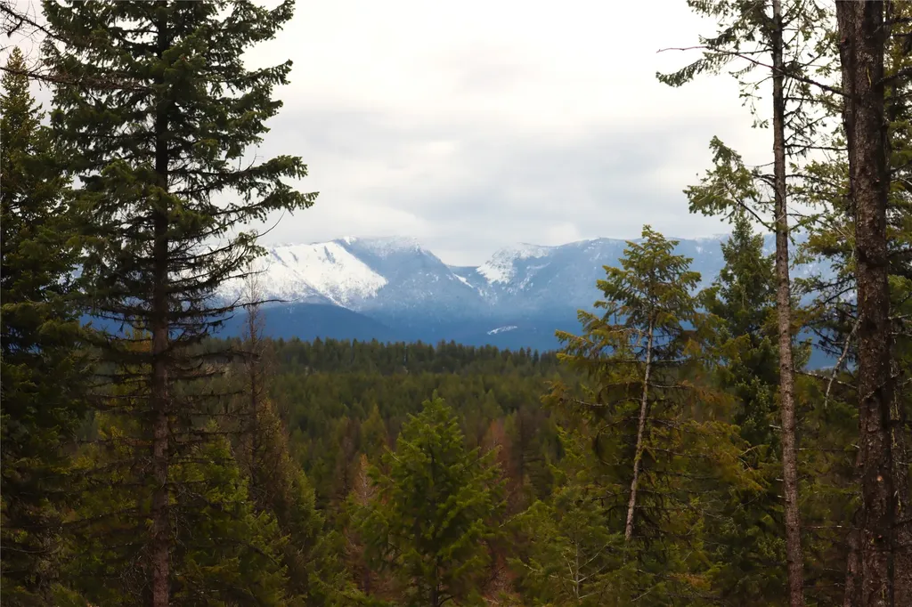 Nhn 120 Acres South Eureka MT 59917