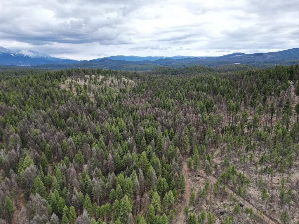Nhn 120 Acres South Eureka MT 59917