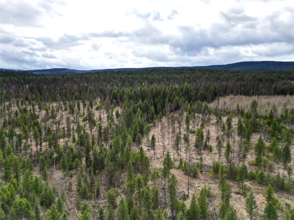 Nhn 120 Acres South Eureka MT 59917