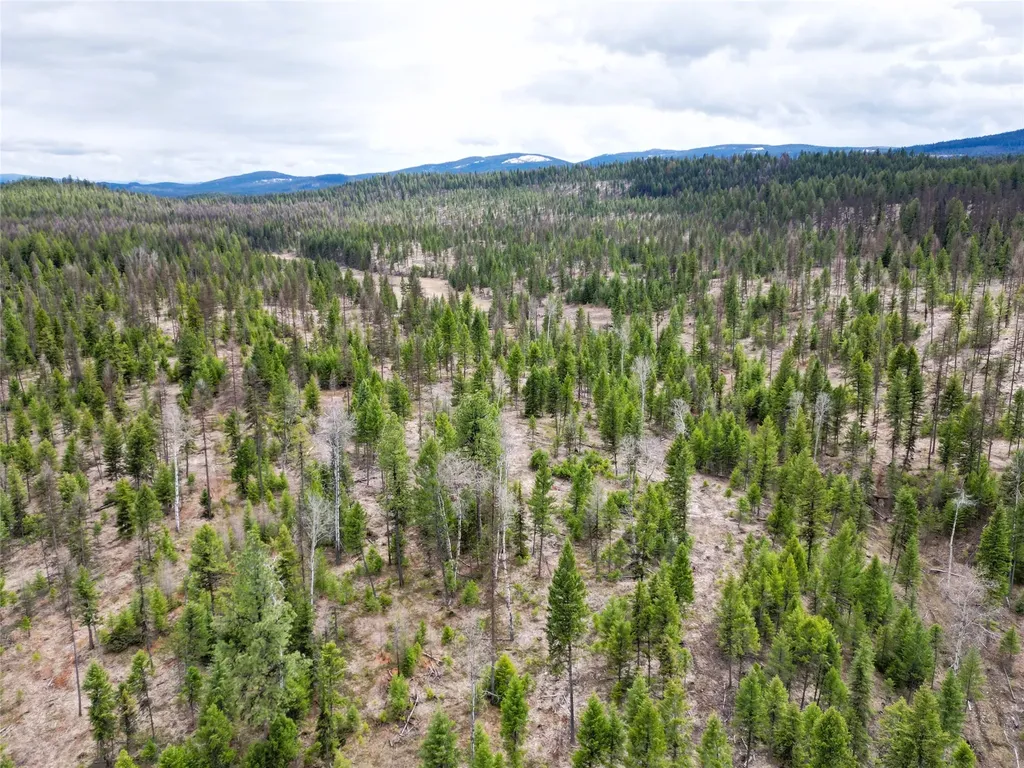 Nhn 120 Acres South Eureka MT 59917