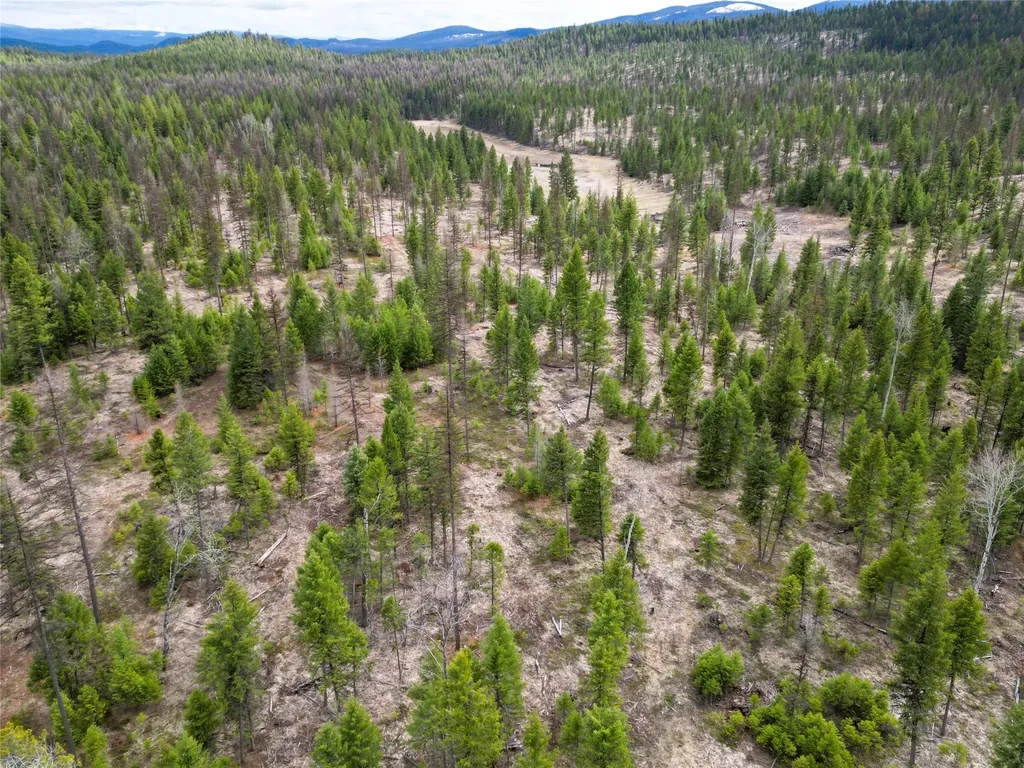 Nhn 120 Acres South Eureka MT 59917