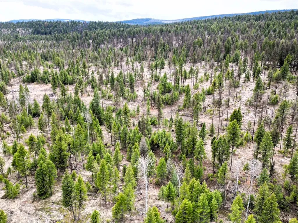 Nhn 120 Acres South Eureka MT 59917