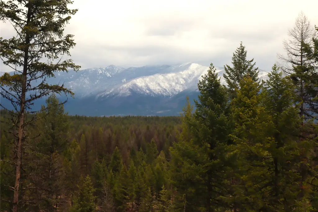 Nhn 120 Acres South Eureka MT 59917