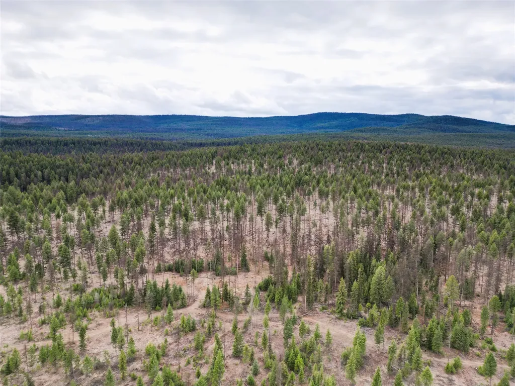 Nhn 120 Acres South Eureka MT 59917