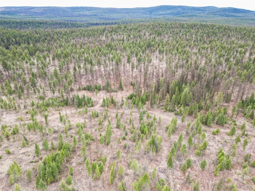 Nhn 120 Acres South Eureka MT 59917