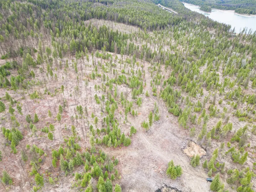 Nhn 120 Acres South Eureka MT 59917