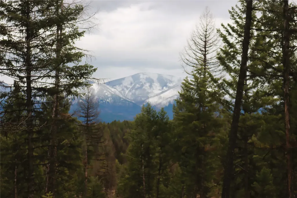 Nhn 120 Acres South Eureka MT 59917