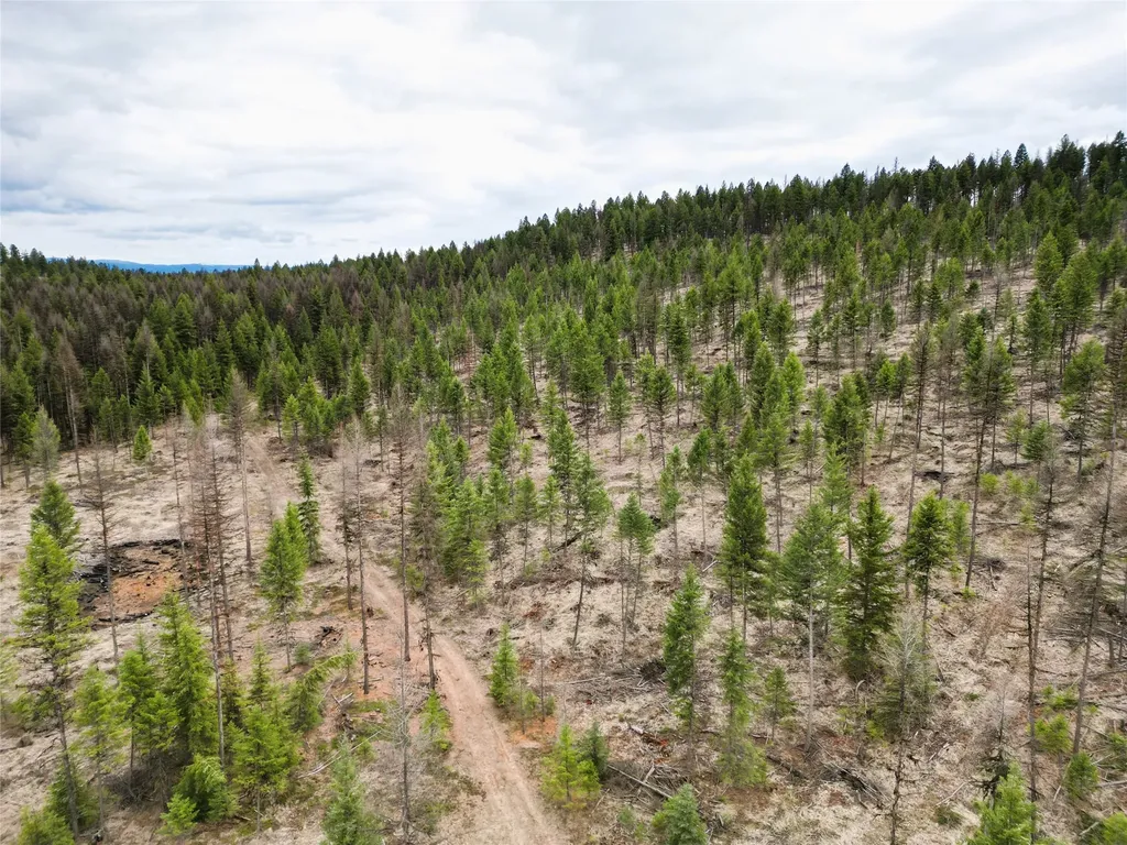 Nhn 120 Acres South Eureka MT 59917