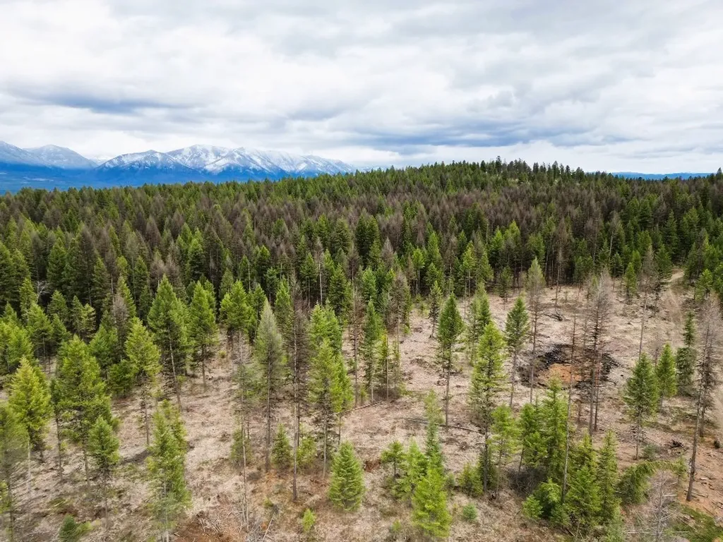 Nhn 120 Acres South Eureka MT 59917