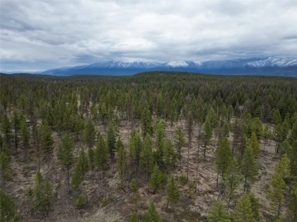 Nhn 120 Acres South Eureka MT 59917