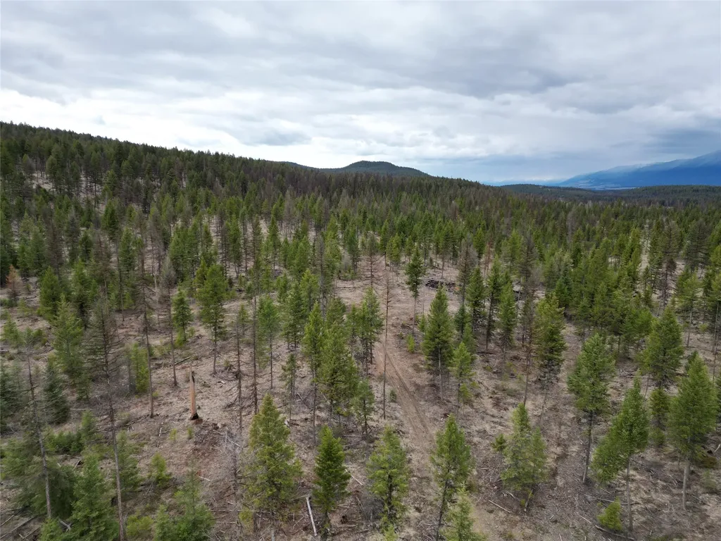 Nhn 120 Acres South Eureka MT 59917