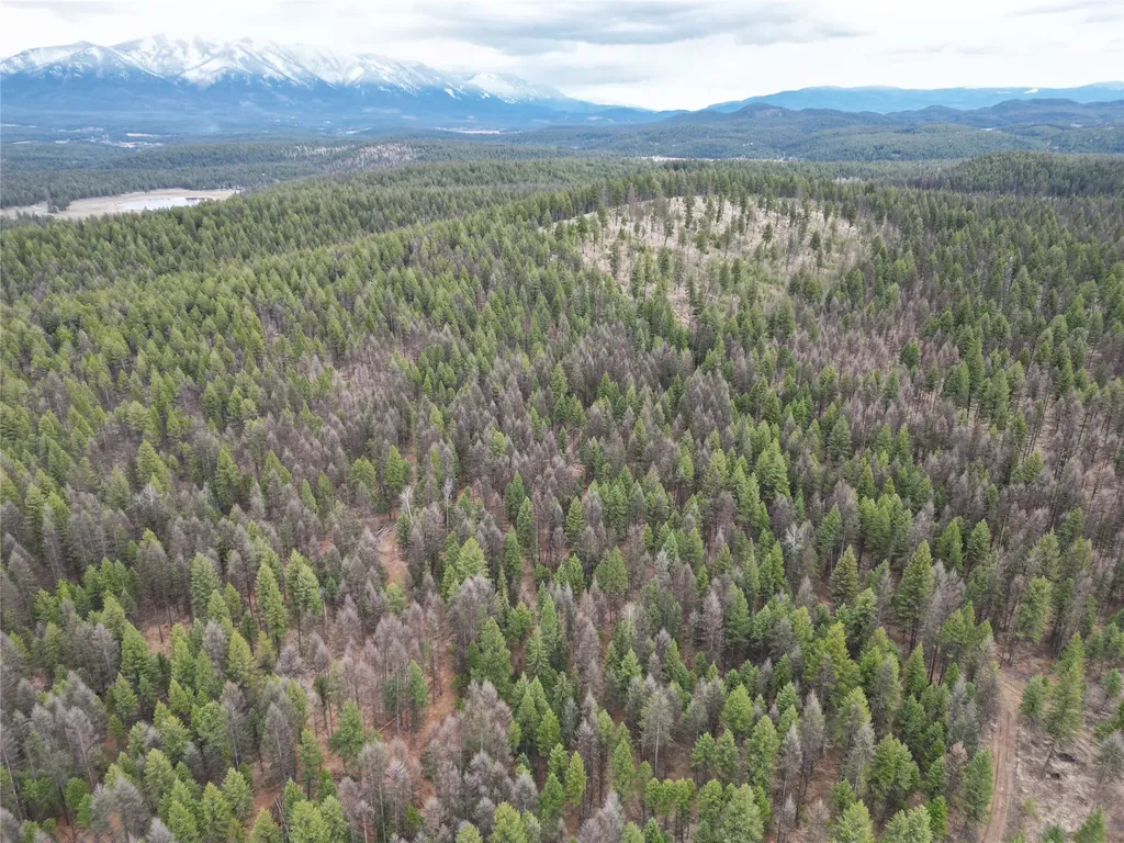 Nhn 120 Acres South Eureka MT 59917