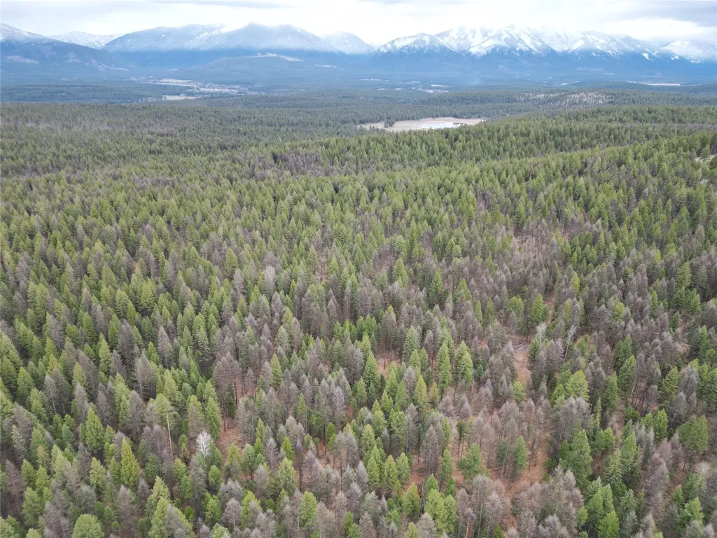 Nhn 120 Acres South Eureka MT 59917