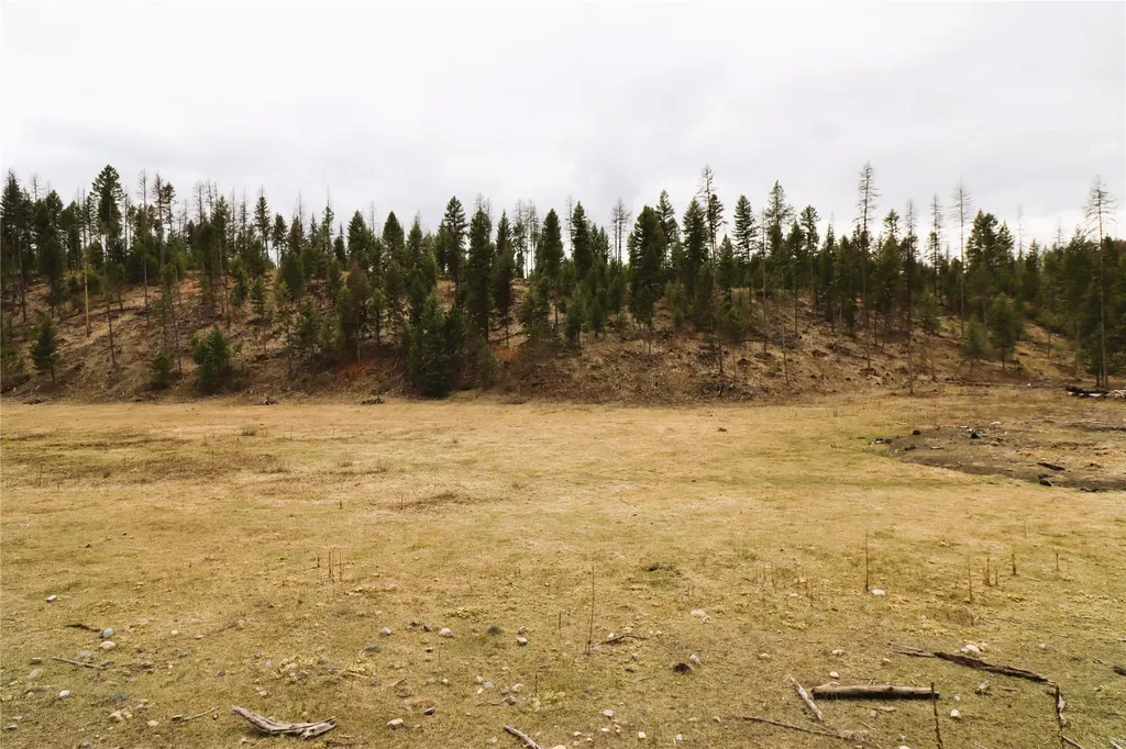 Nhn 120 Acres South Eureka MT 59917