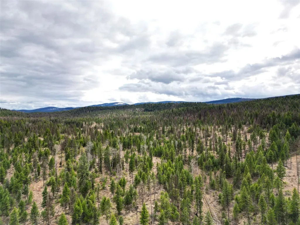 Nhn 120 Acres South Eureka MT 59917