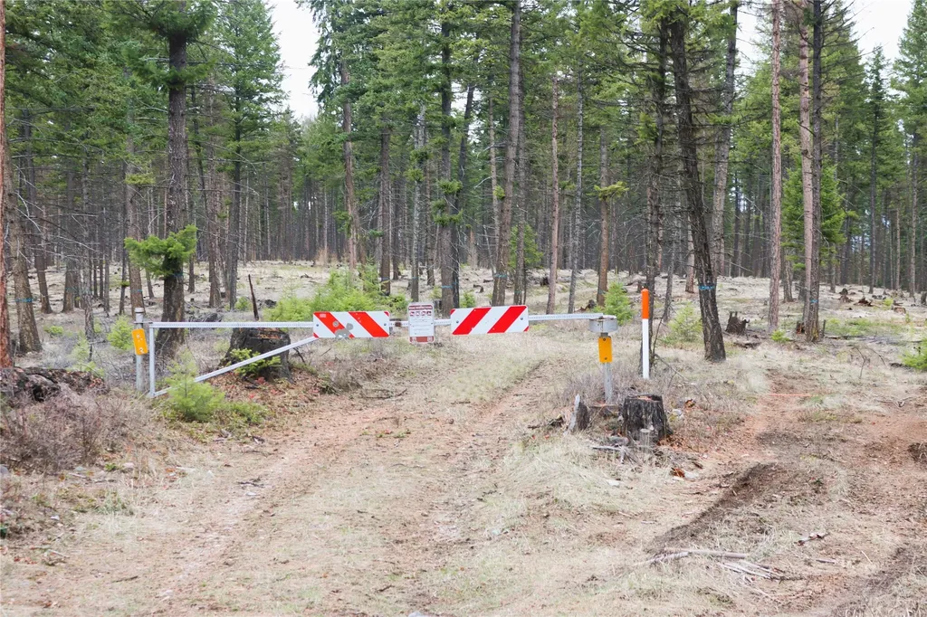 Nhn 120 Acres South Eureka MT 59917