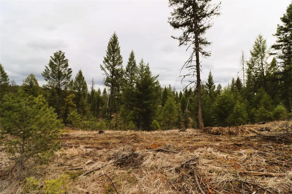 Nhn 120 Acres South Eureka MT 59917