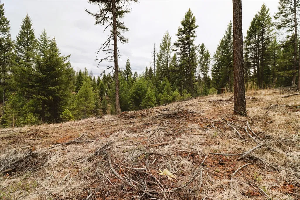 Nhn 120 Acres South Eureka MT 59917