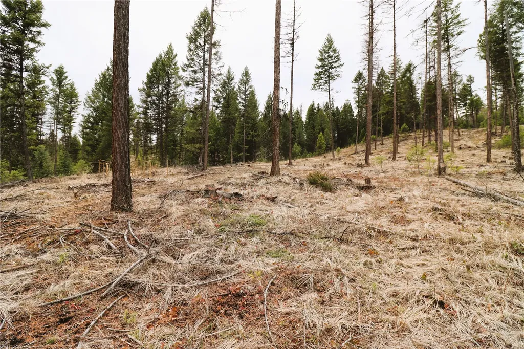 Nhn 120 Acres South Eureka MT 59917