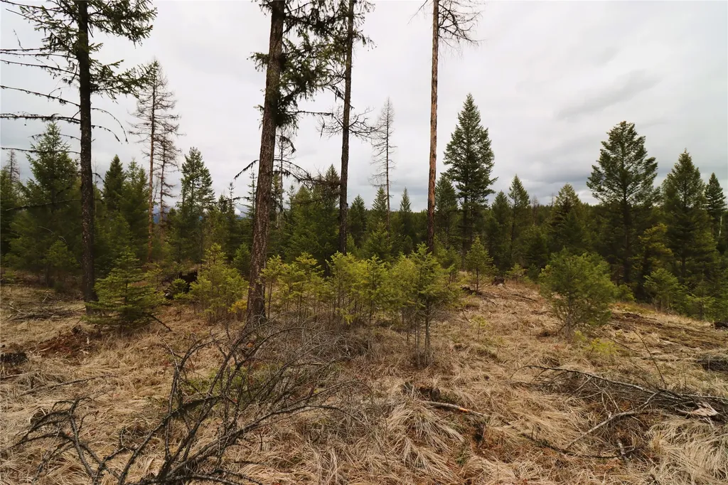 Nhn 120 Acres South Eureka MT 59917