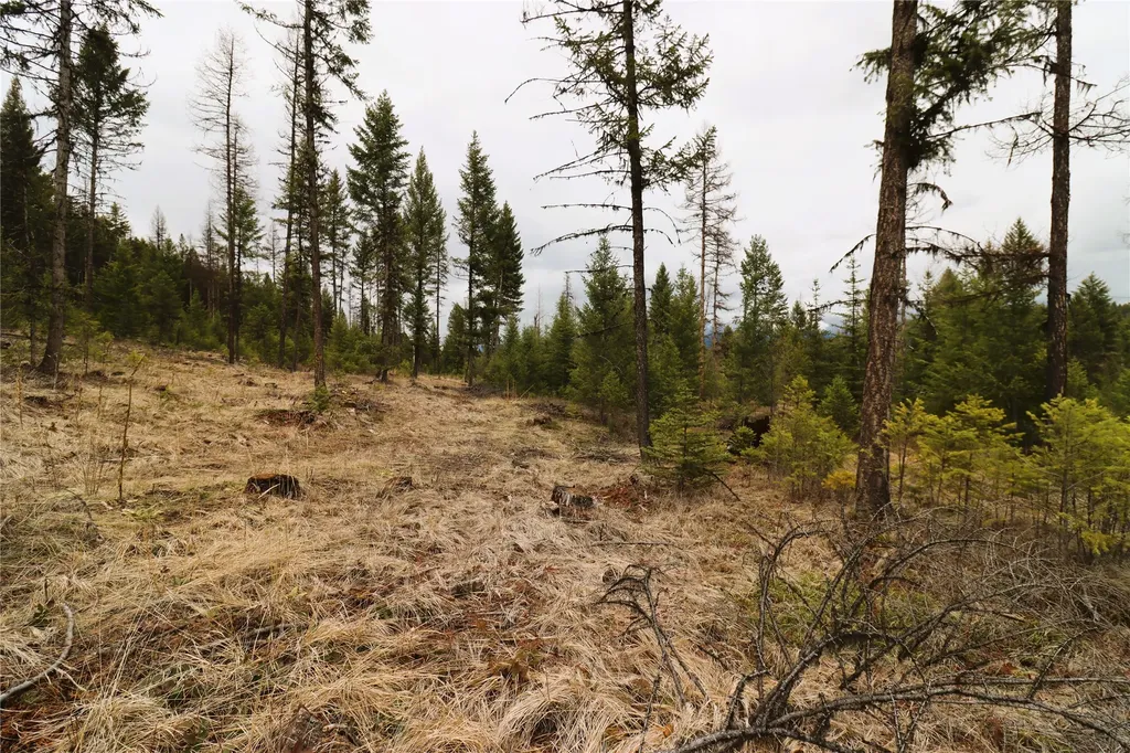 Nhn 120 Acres South Eureka MT 59917