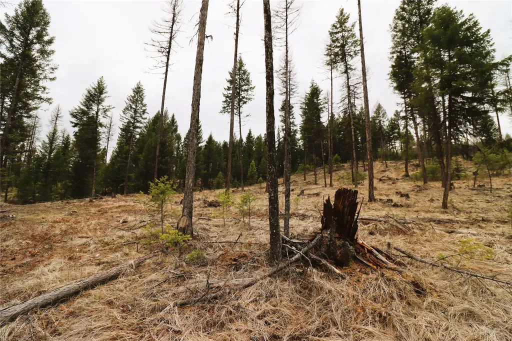 Nhn 120 Acres South Eureka MT 59917