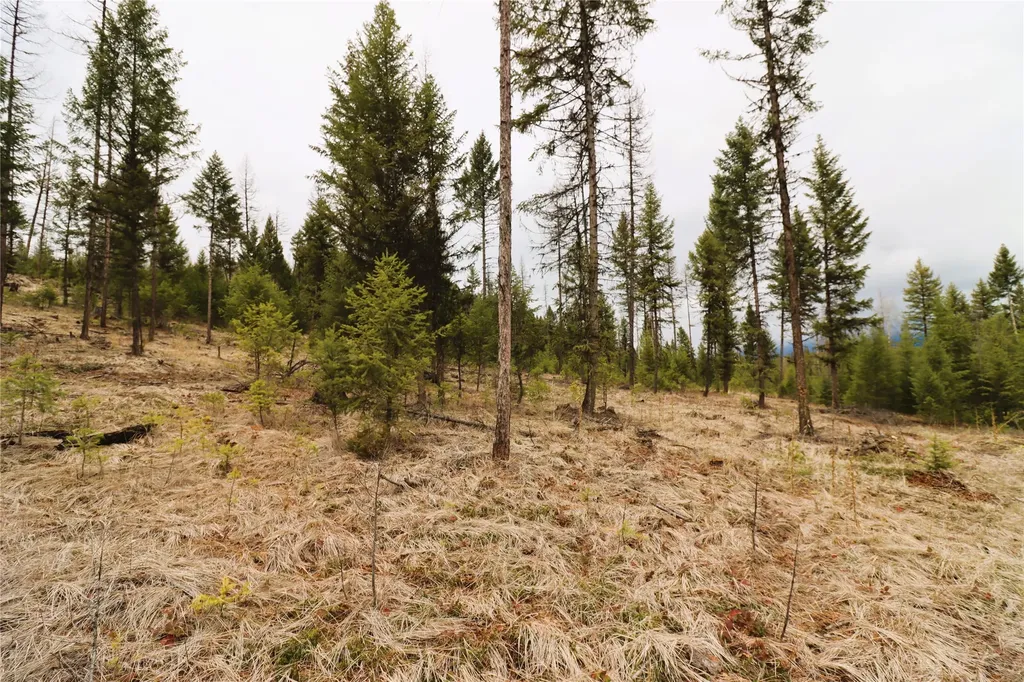 Nhn 120 Acres South Eureka MT 59917