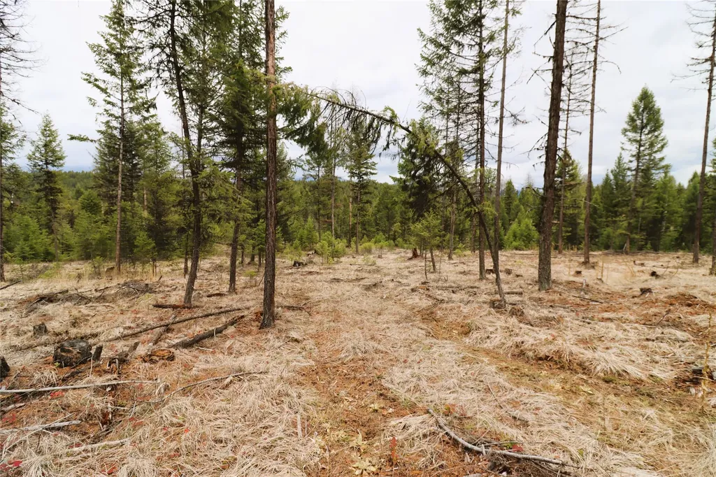 Nhn 120 Acres South Eureka MT 59917
